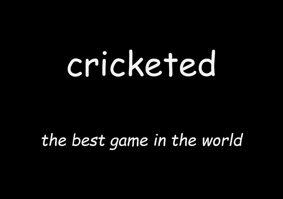 Another Cricket Blog?